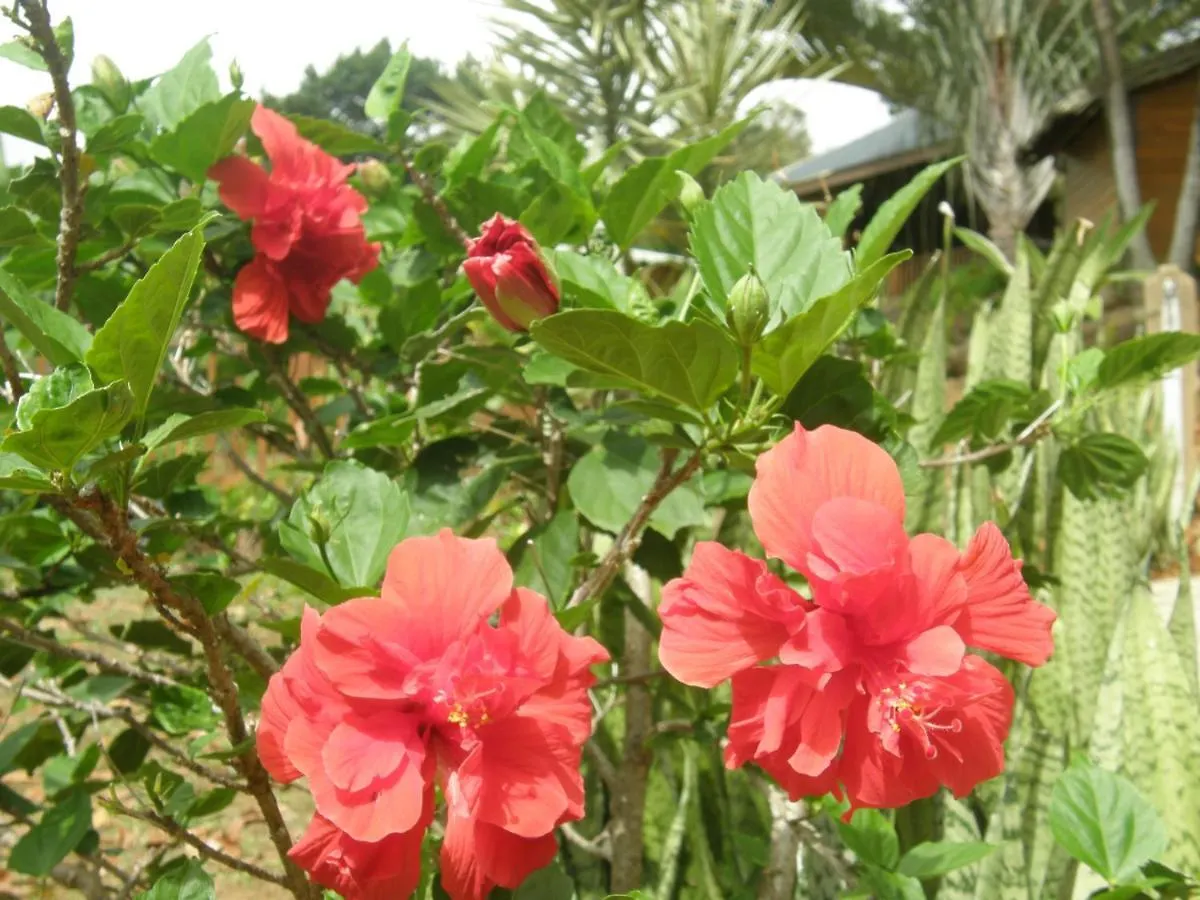 Le Matelot De La Baie Villa Deshaies Guadeloupe